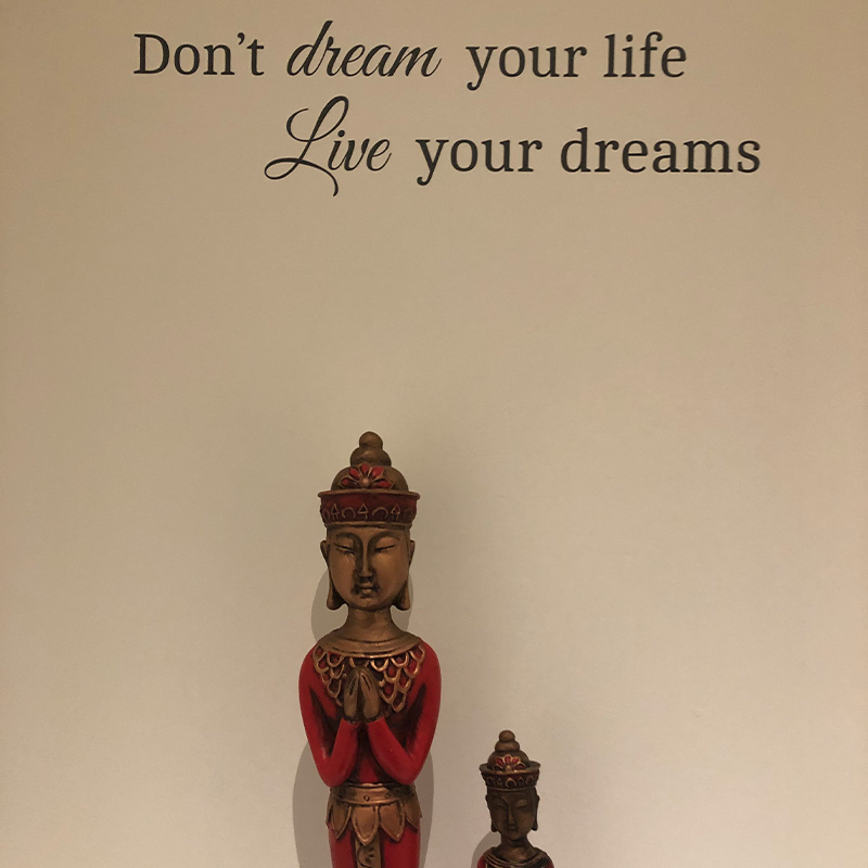 dontdreamyourlife dontdreamyourlife