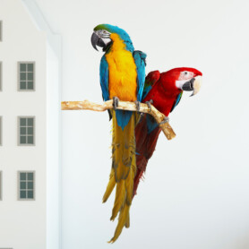 muursticker-papegaai-blauw-geel-ara muursticker-papegaai-blauw-geel-ara
