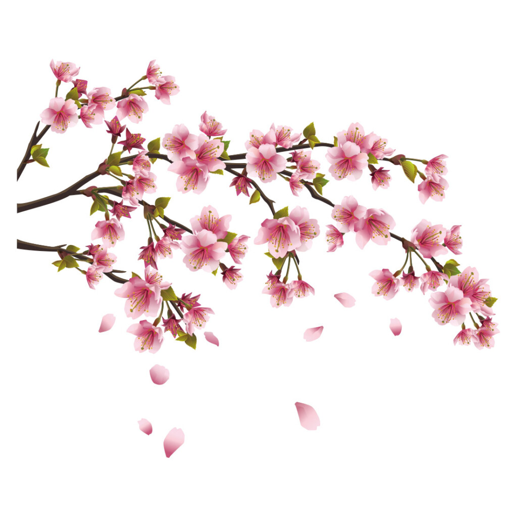 bloesem-tak-muursticker-bloemen-magnolia bloesem-tak-muursticker-bloemen-magnolia