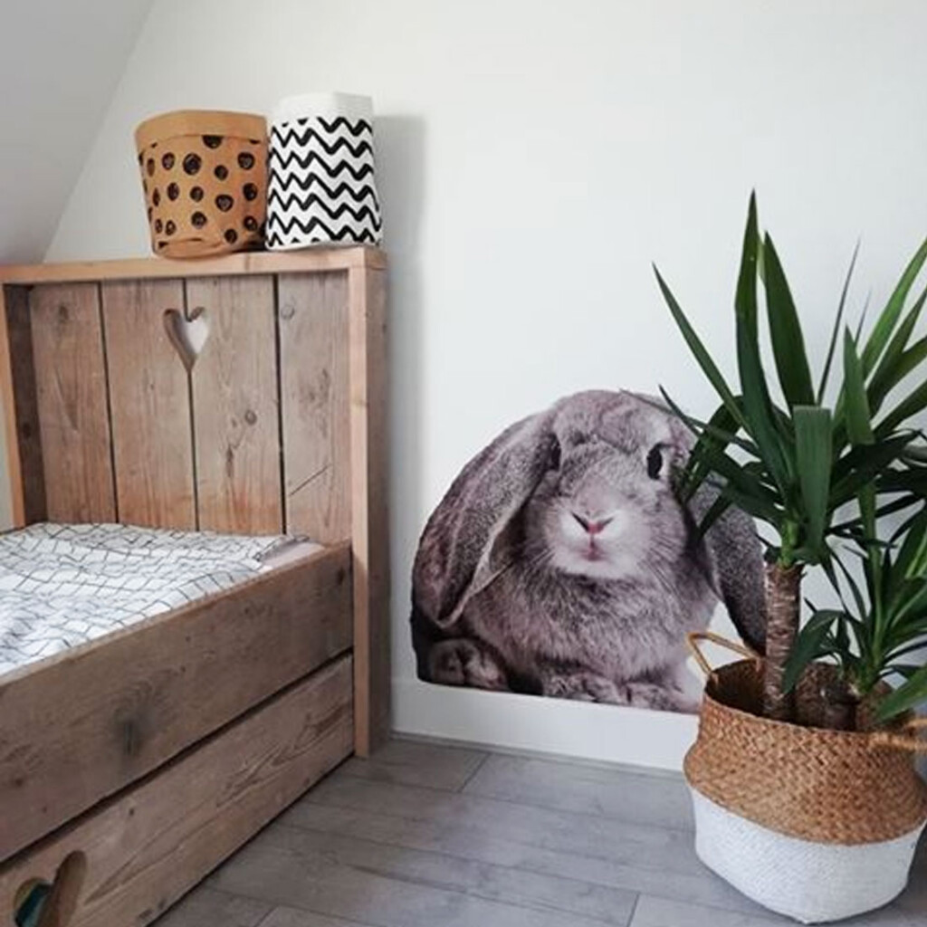 konijn-haas-muursticker-wandsticker-sticker-kinderkamer-echt konijn-haas-muursticker-wandsticker-sticker-kinderkamer-echt