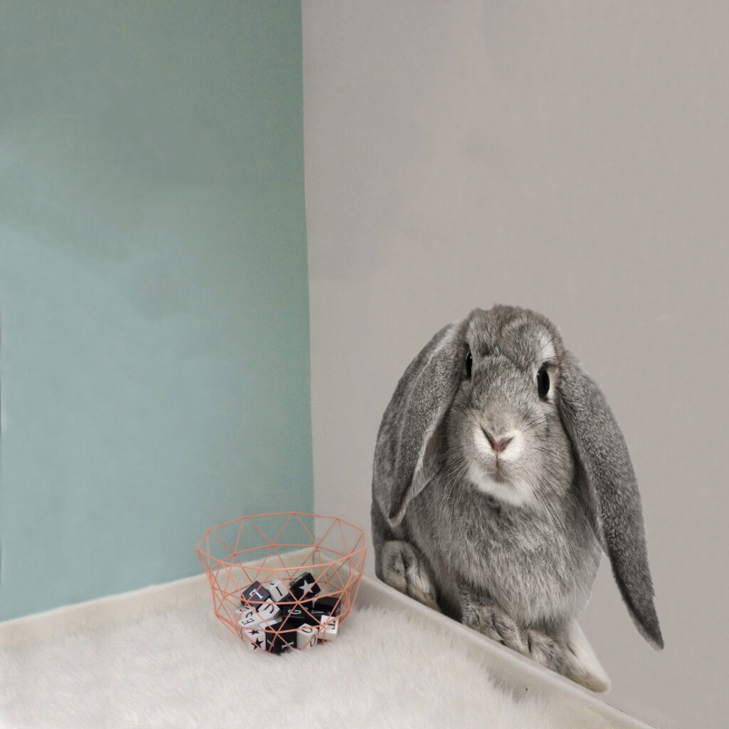konijn-muursticker-kinderkamer-groot-klein-grijs-bos-dieren konijn-muursticker-kinderkamer-groot-klein-grijs-bos-dieren