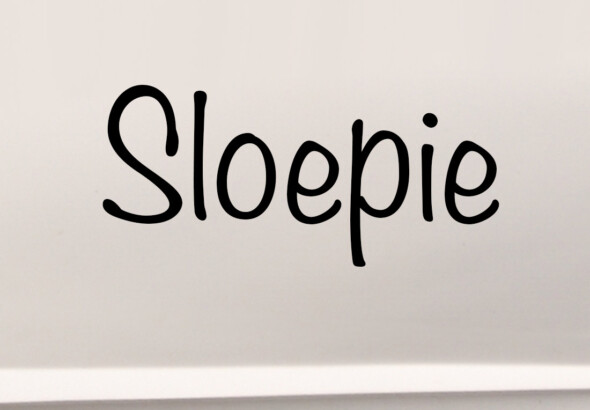 bootnamen leuke grappige ideeen stickers boot zwart wit goedkoop