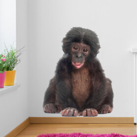 baby-aap-muursticker-kinderkamer-echt-foto-klein-aapje baby-aap-muursticker-kinderkamer-echt-foto-klein-aapje