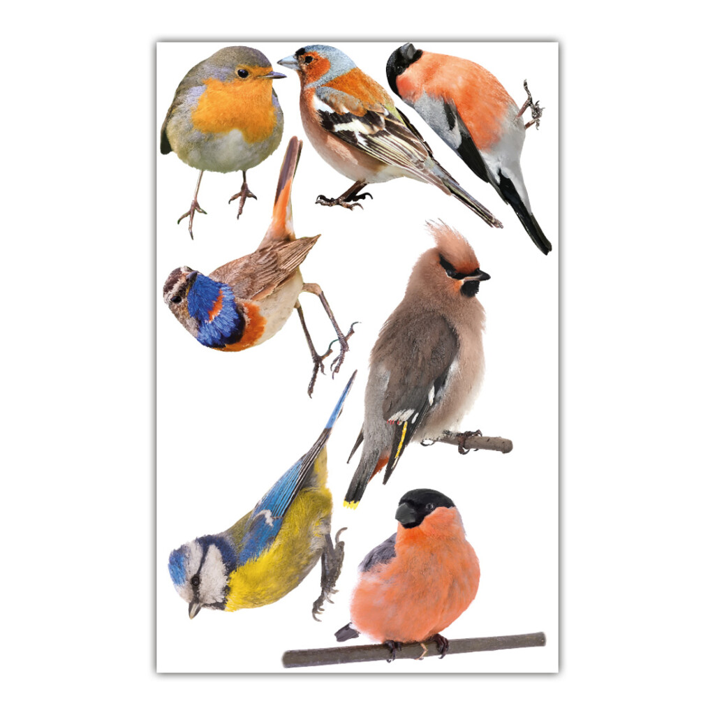 muurstickers-vogels muurstickers-vogels-mus-tropisch-muursticker