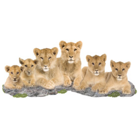 Muursticke-leeuwen-familie Muursticke-leeuwen-familie