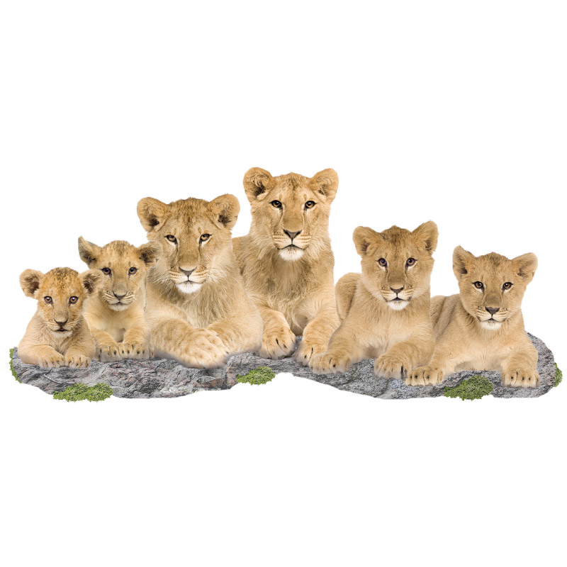 Muursticke-leeuwen-familie Muursticke-leeuwen-familie
