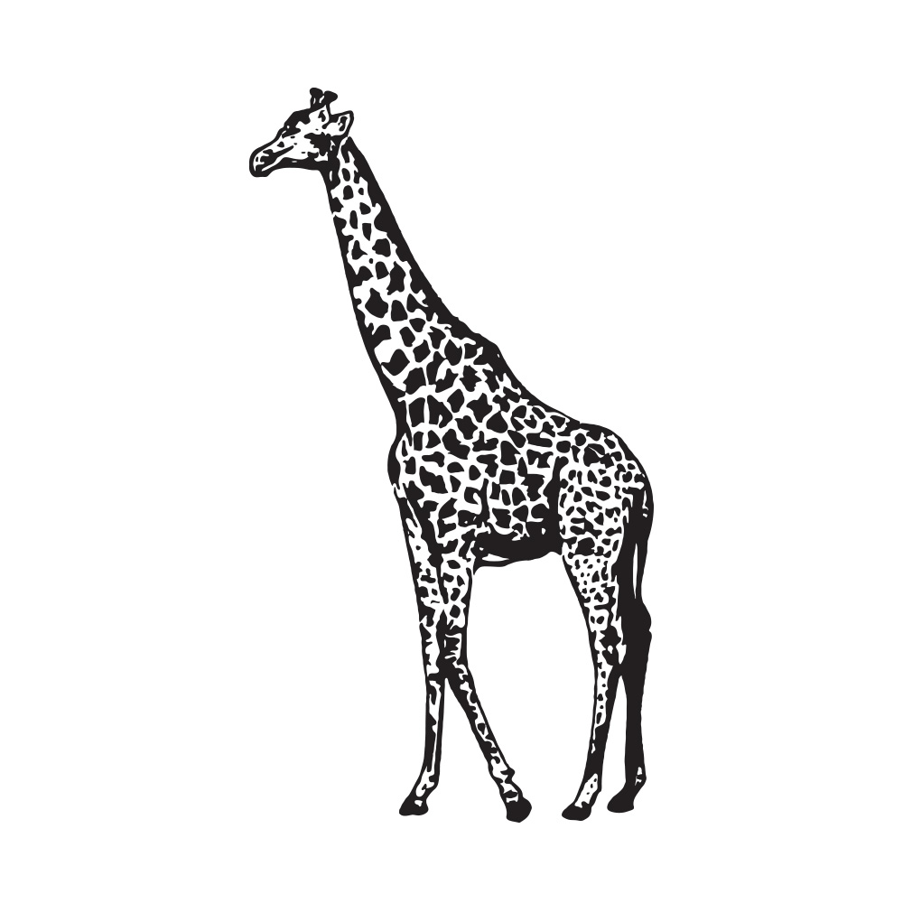 muursticker giraffe kinderkamer woonkamer zwart groot muursticker giraffe kinderkamer woonkamer zwart groot