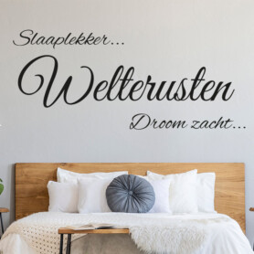 muursticker-welterusten-slaaplekker-droom-zacht-slaapkamer-sticker muursticker-welterusten-slaaplekker-droom-zacht-slaapkamer-sticker