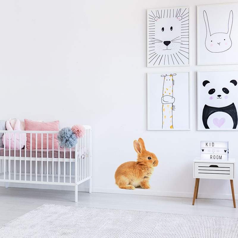 muursticker-konijntje-babykamer-lief-schattig-ideeen-leuk-diy muursticker-konijntje-babykamer-lief-schattig-ideeen-leuk-diy