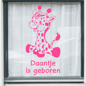 raamsticker meisje geboren hoera diy ideeen geboortebord tuin inspiratie roze jongen