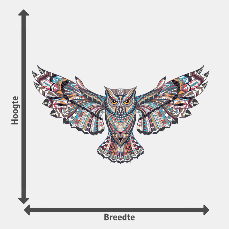hoogtebreedte Muursticker uil - Afbeelding 4