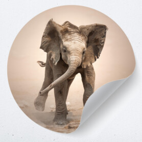 muurcirkel muursticker behangcirkel muurdecoratie kinderkamer babykamer olifant muurcirkel muursticker behangcirkel muurdecoratie kinderkamer babykamer olifant