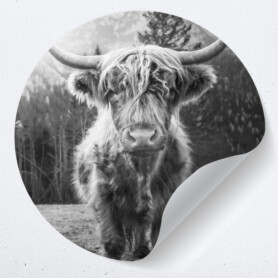 muurcirkel schotse hooglander muurdecoratie woonkamer decoratie wandsticker stoer ideeen landelijk zwart wit