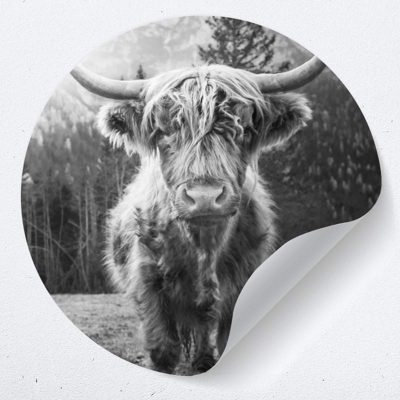 muurcirkel schotse hooglander muurdecoratie woonkamer decoratie wandsticker stoer ideeen landelijk zwart wit muurcirkel schotse hooglander muurdecoratie woonkamer decoratie wandsticker stoer ideeen landelijk zwart wit