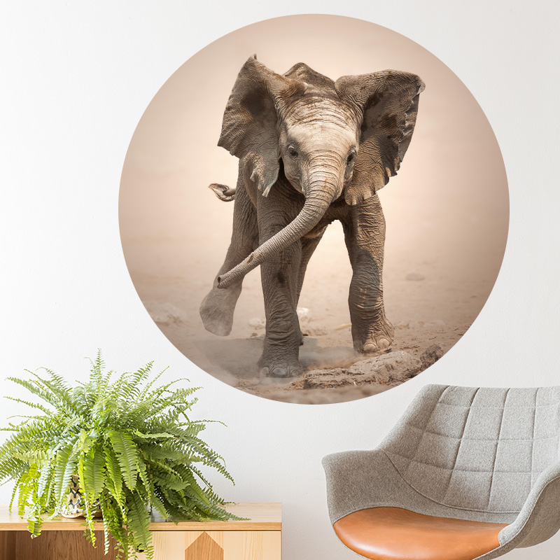 muurcirkel sticker muurdecoratie wandcirkel behangcirkel olifant baby accessoires muurcirkel sticker muurdecoratie wandcirkel behangcirkel olifant baby accessoires