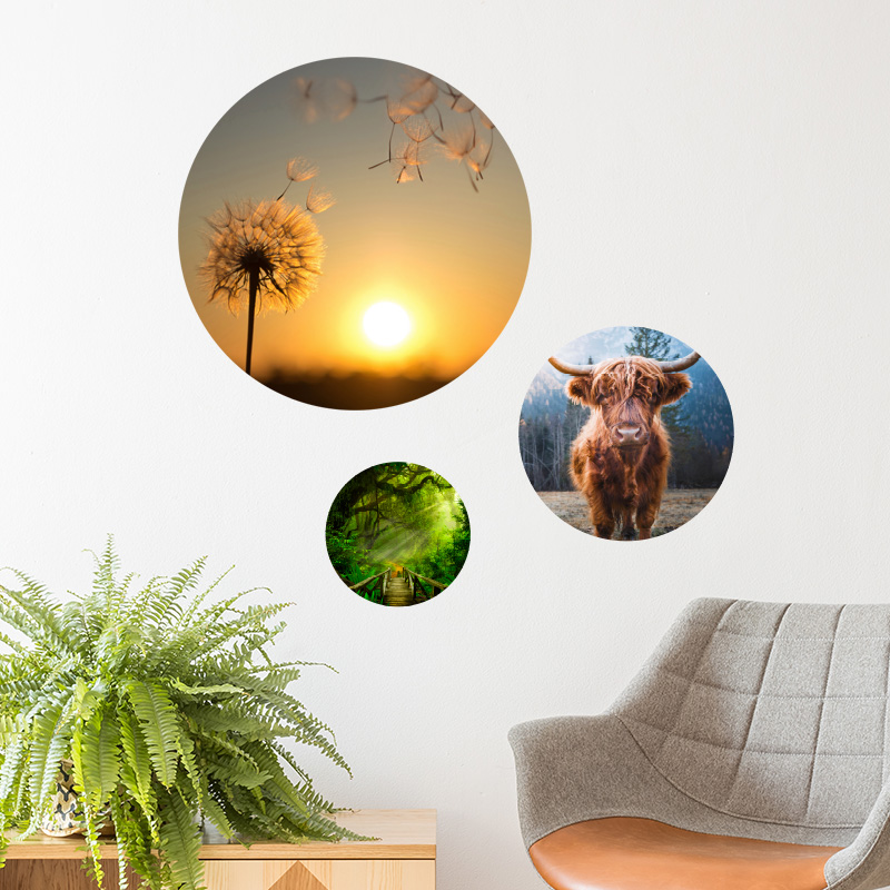 muurcirkel wanddecoratie muurdecoratie ideeen inspiratie muur woonkamer kleurrijk modern huiselijk warm muurcirkel wanddecoratie muurdecoratie ideeen inspiratie muur woonkamer kleurrijk modern huiselijk warm