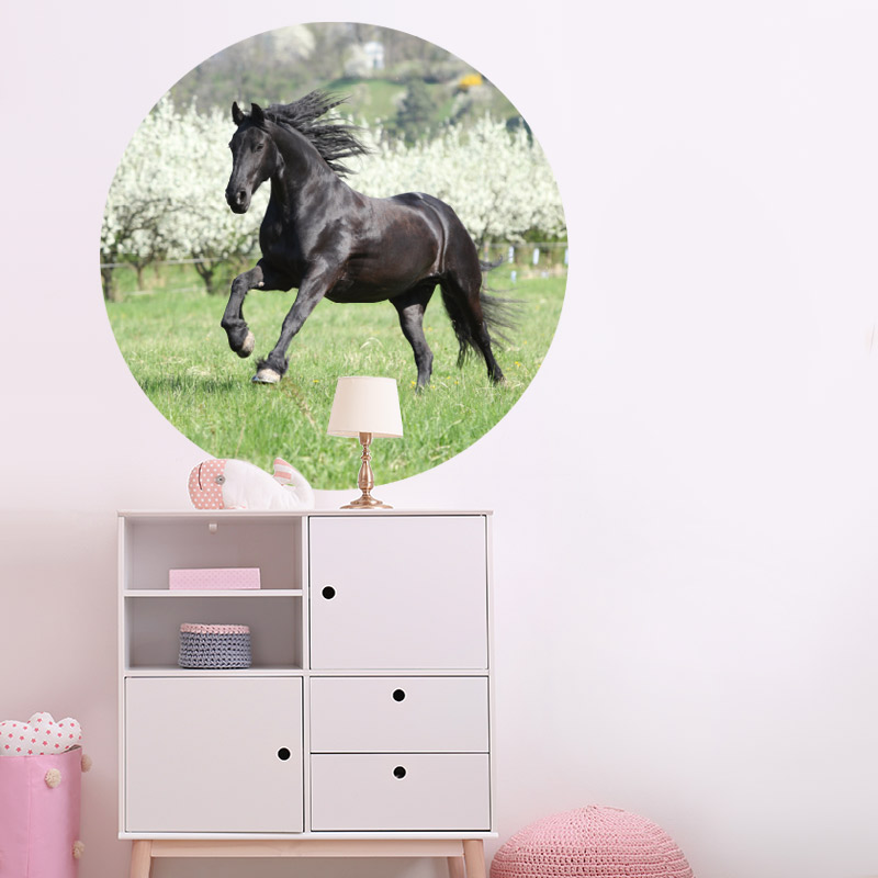 muursticker paard galloperend meisjeskamer meidenkamer muursticker paard galloperend meisjeskamer meidenkamer