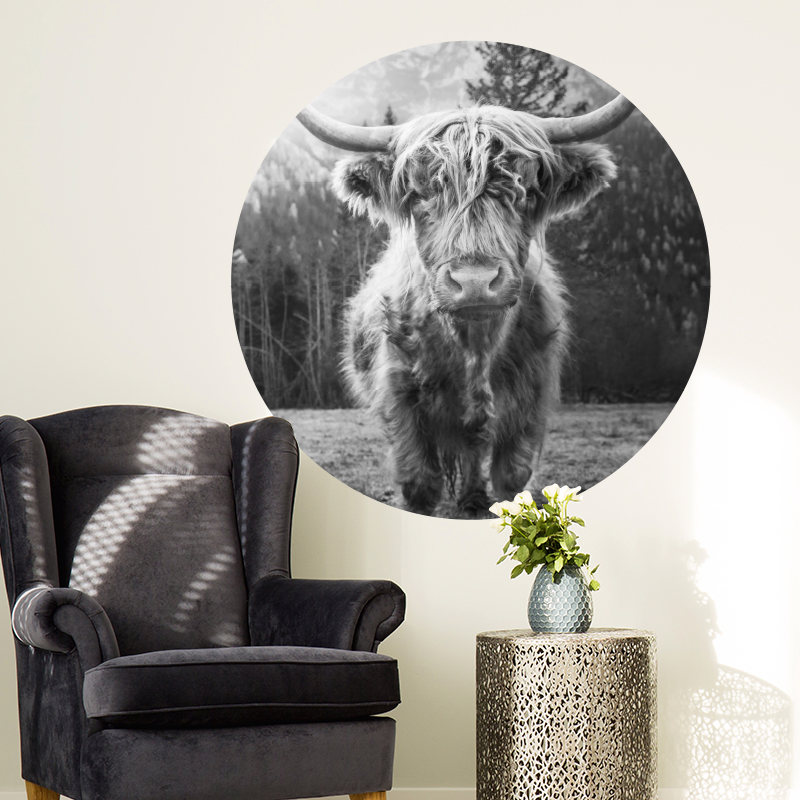 schotse hooglander muurcirkel muurdecoratie woonkamer inspiratie zwart wit_ schotse hooglander muurcirkel muurdecoratie woonkamer inspiratie zwart wit_
