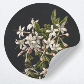Plakkers-0260 Muurcirckel bloemen sticker kunst
