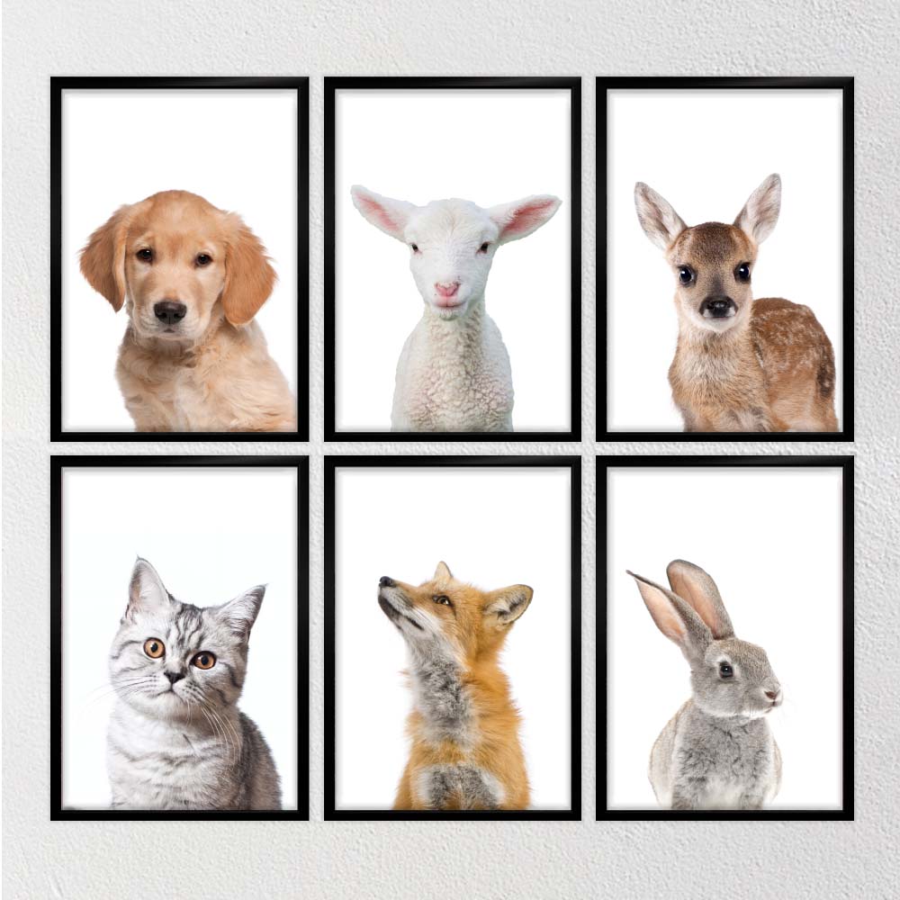 muursticker posters zelfklevend dieren schaap hert geit hond kat poes kinderkamer babykamer A4 formaat1 muursticker posters zelfklevend dieren schaap hert geit hond kat poes kinderkamer babykamer A4 formaat1