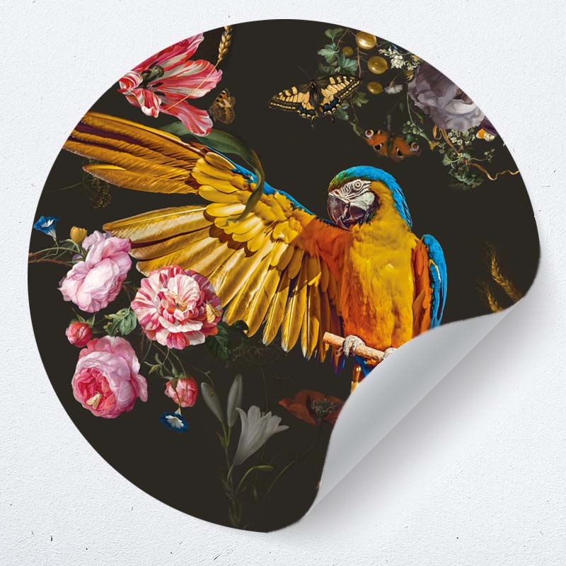muurcirkel behangcirkel muurdecoratie wanddecoratie kunstwerk woonkamer schilderij inspiratie ideeen papegaai woonkamer keuken muurcirkel behangcirkel muurdecoratie wanddecoratie kunstwerk woonkamer schilderij inspiratie ideeen papegaai woonkamer keuken