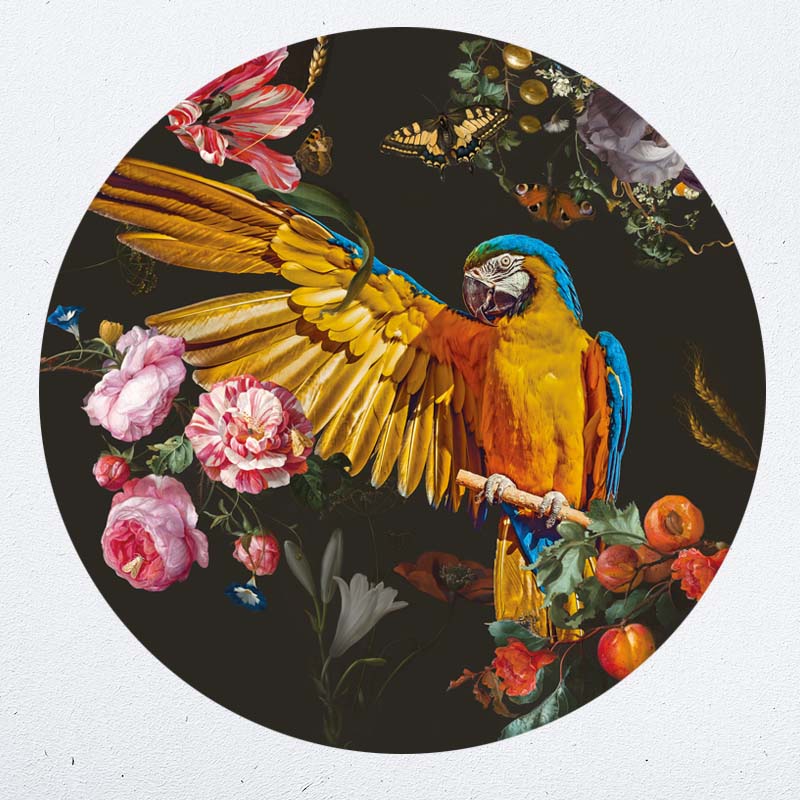 muurcirkel behangcirkel muurdecoratie wanddecoratie kunstwerk woonkamer schilderij inspiratie ideeen papegaai