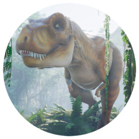 muursticker dinosaurussen dino muurstickers behang cirkels zelfklevend kinderkamer jungle accessoires ideeen inspiratie 2 muursticker dinosaurussen dino muurstickers behang cirkels zelfklevend kinderkamer jungle accessoires ideeen inspiratie 2