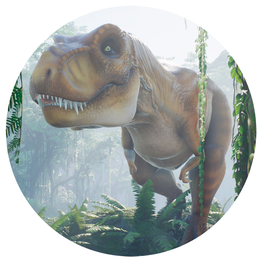 muursticker dinosaurussen dino muurstickers behang cirkels zelfklevend kinderkamer jungle accessoires ideeen inspiratie 2 muursticker dinosaurussen dino muurstickers behang cirkels zelfklevend kinderkamer jungle accessoires ideeen inspiratie 2