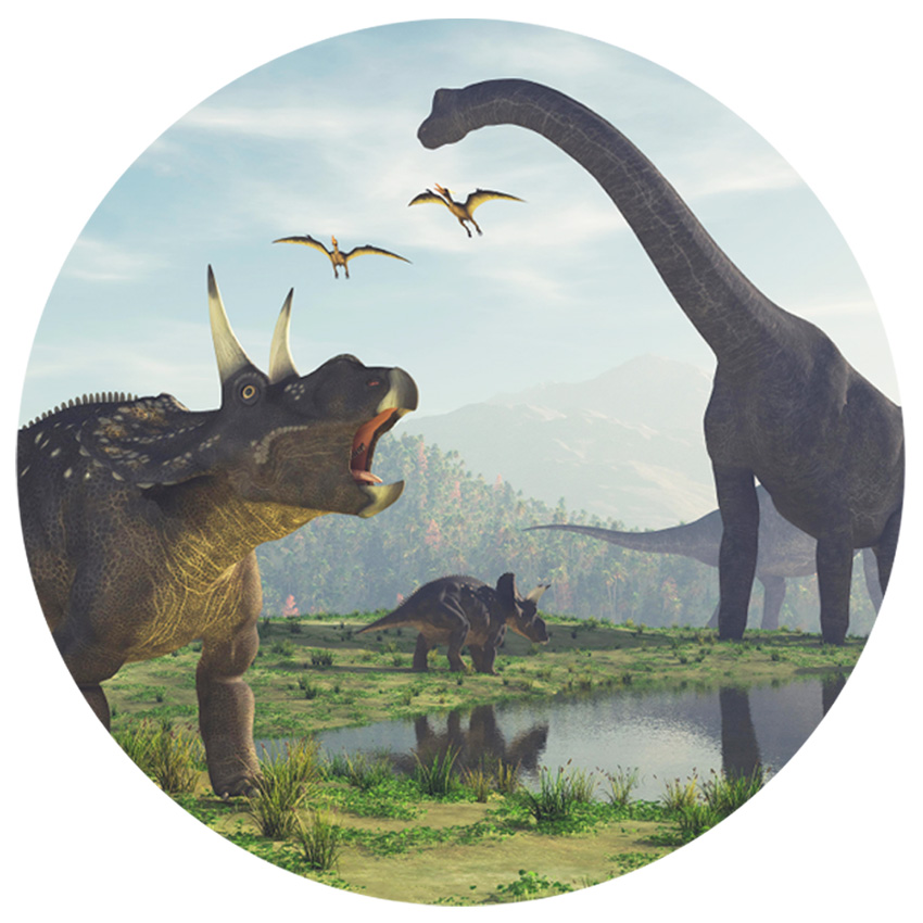 muursticker dinosaurussen muursticker dinosaurussen
