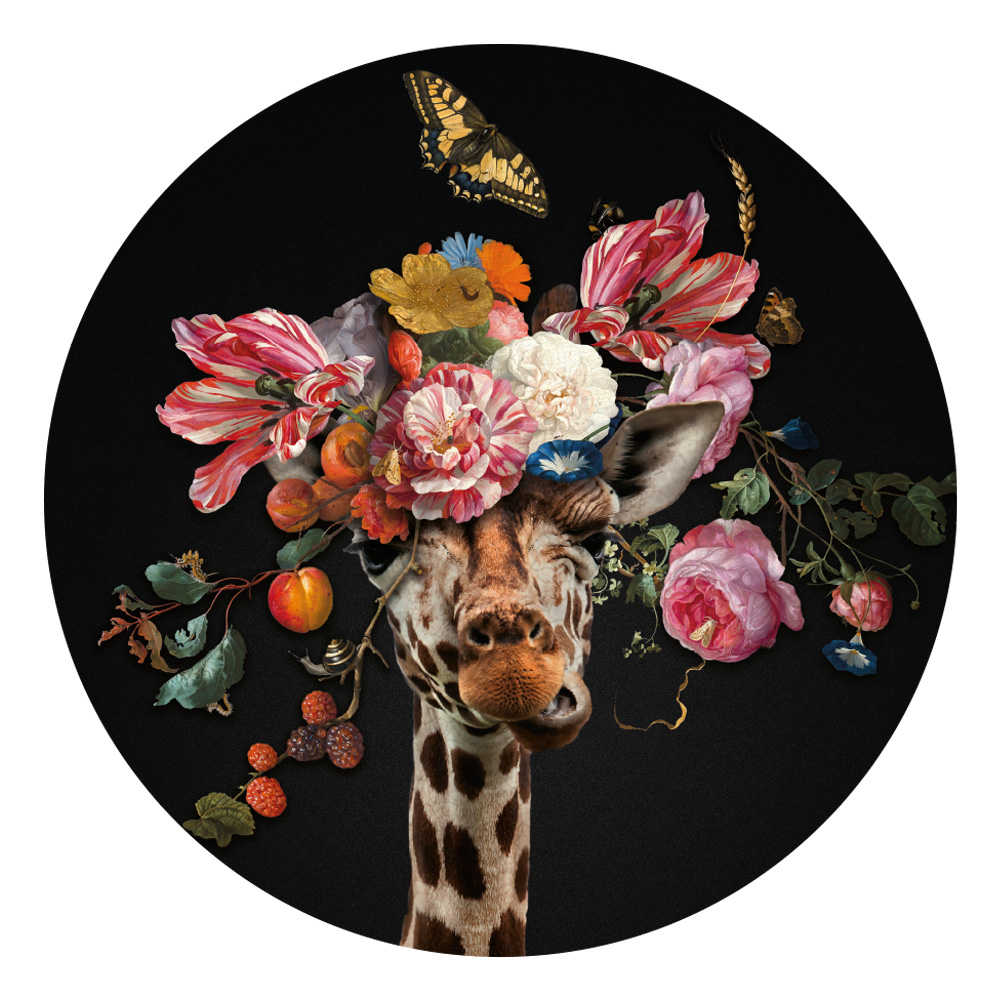 muurcirkel giraffe botanisch bloemen jan davidsz muurcirkel giraffe botanisch bloemen jan davidsz