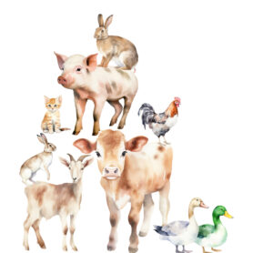 boerderij dieren muurstickers boerderij dieren muurstickers