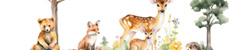Dieren