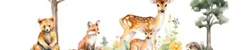 Dieren
