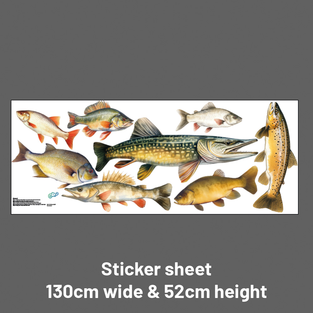 muursticker vissen stickers wall stickers wall decals fish pike snoek muursticker vissen stickers wall stickers wall decals fish pike snoek