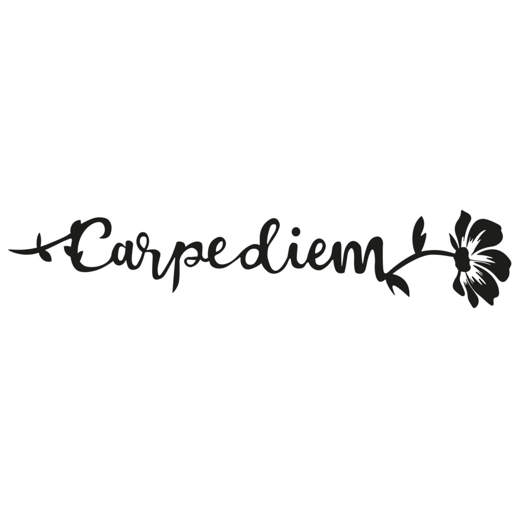 carpe diem muursticker plakletters sierlijk artistiek flora bloemen inspirerend muurstickerstunter carpe diem muursticker plakletters sierlijk artistiek flora bloemen inspirerend muurstickerstunter
