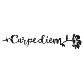carpe diem muursticker plakletters sierlijk artistiek flora bloemen inspirerend muurstickerstunter carpe diem muursticker plakletters sierlijk artistiek flora bloemen inspirerend muurstickerstunter