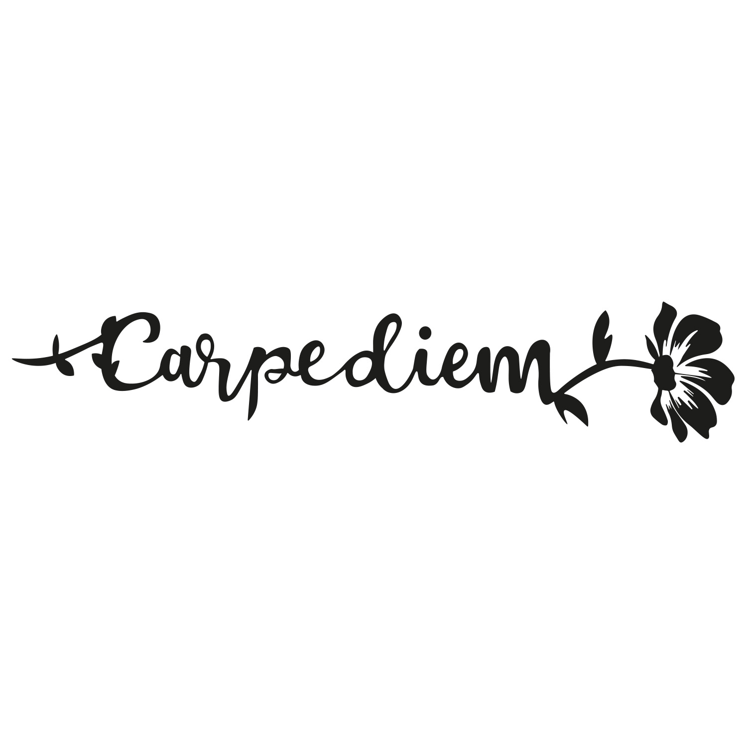 carpe diem muursticker plakletters sierlijk artistiek flora bloemen inspirerend muurstickerstunter carpe diem muursticker plakletters sierlijk artistiek flora bloemen inspirerend muurstickerstunter